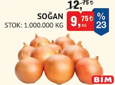 SOĞAN KG SOĞAN KG